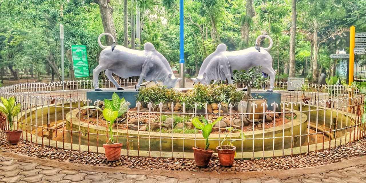 botanicalgarden